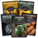 5 packets of heirloom squash seeds