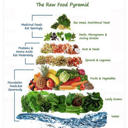 Advantages and Disadvantages of a Raw Food Diet Food Pyramid