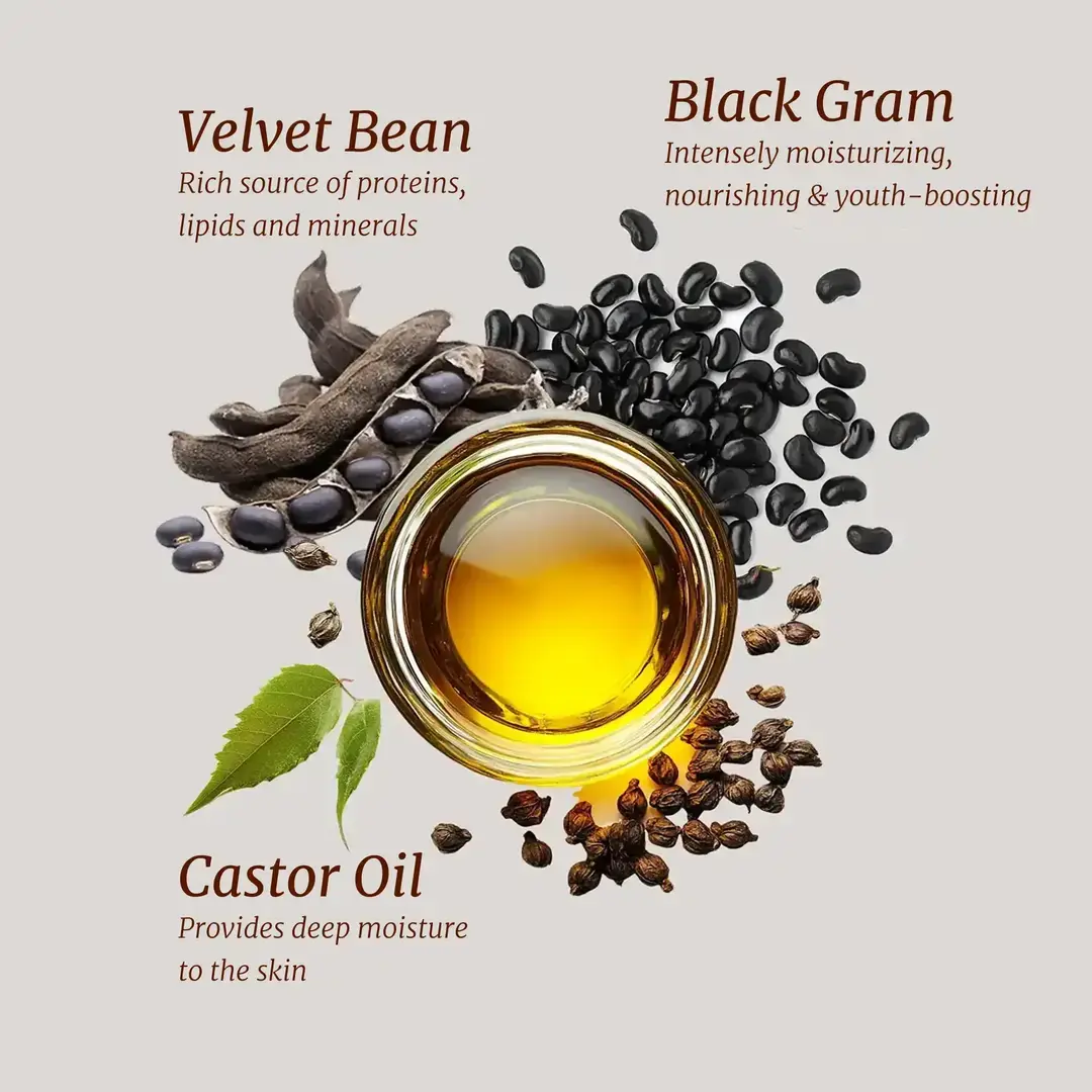 velvet been, castor oil, black gram