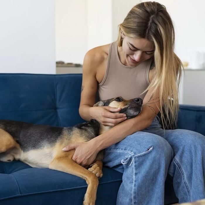 Best Dog Breeds for Apartment Living