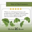 Voice of our customers with 5 stars and a picture of 6 ginkgo biloba leaves. The review says "Works ery well. Improved memory and brought back memory. Happy with the product. It is nice to find a supplement that is purely what you wanted without any fillers."