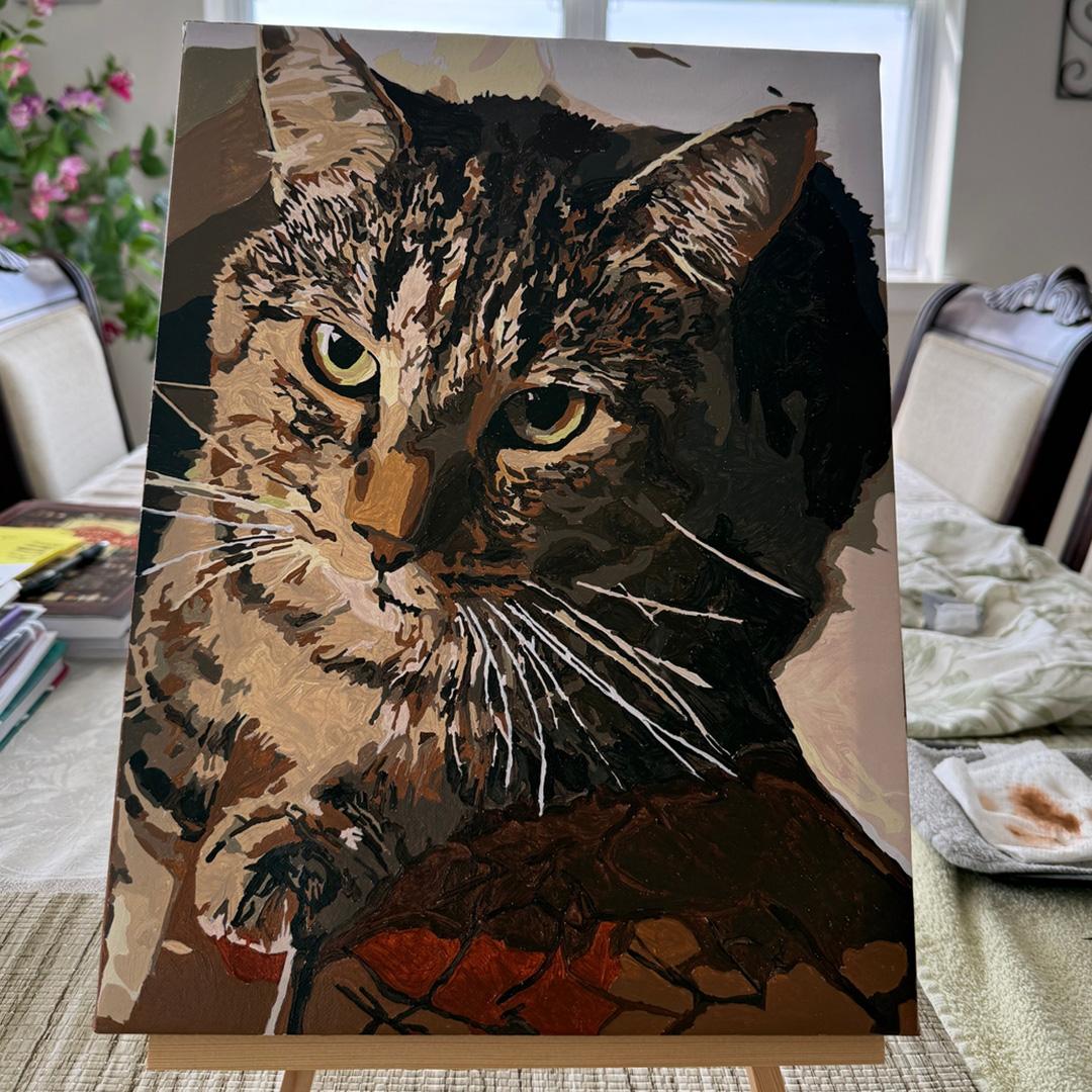 Pet