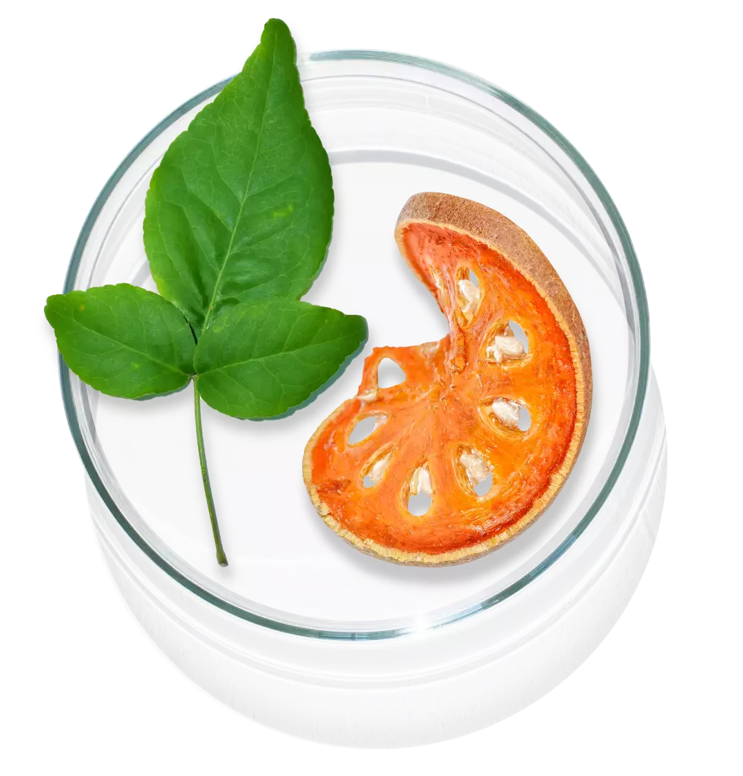 The image shows Apricot which is one of the ingredients in Cleanser