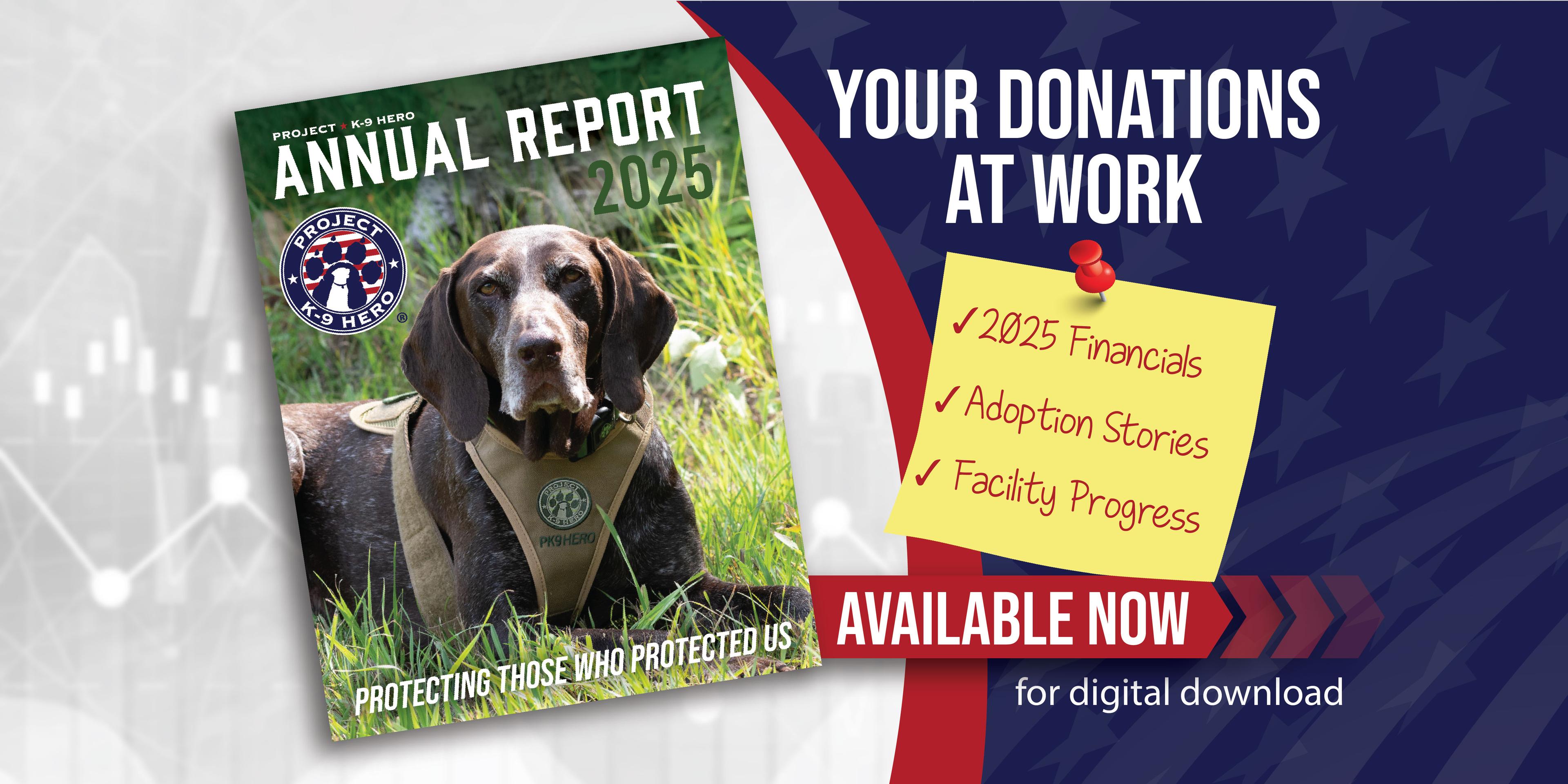 annual report numbers 2023
