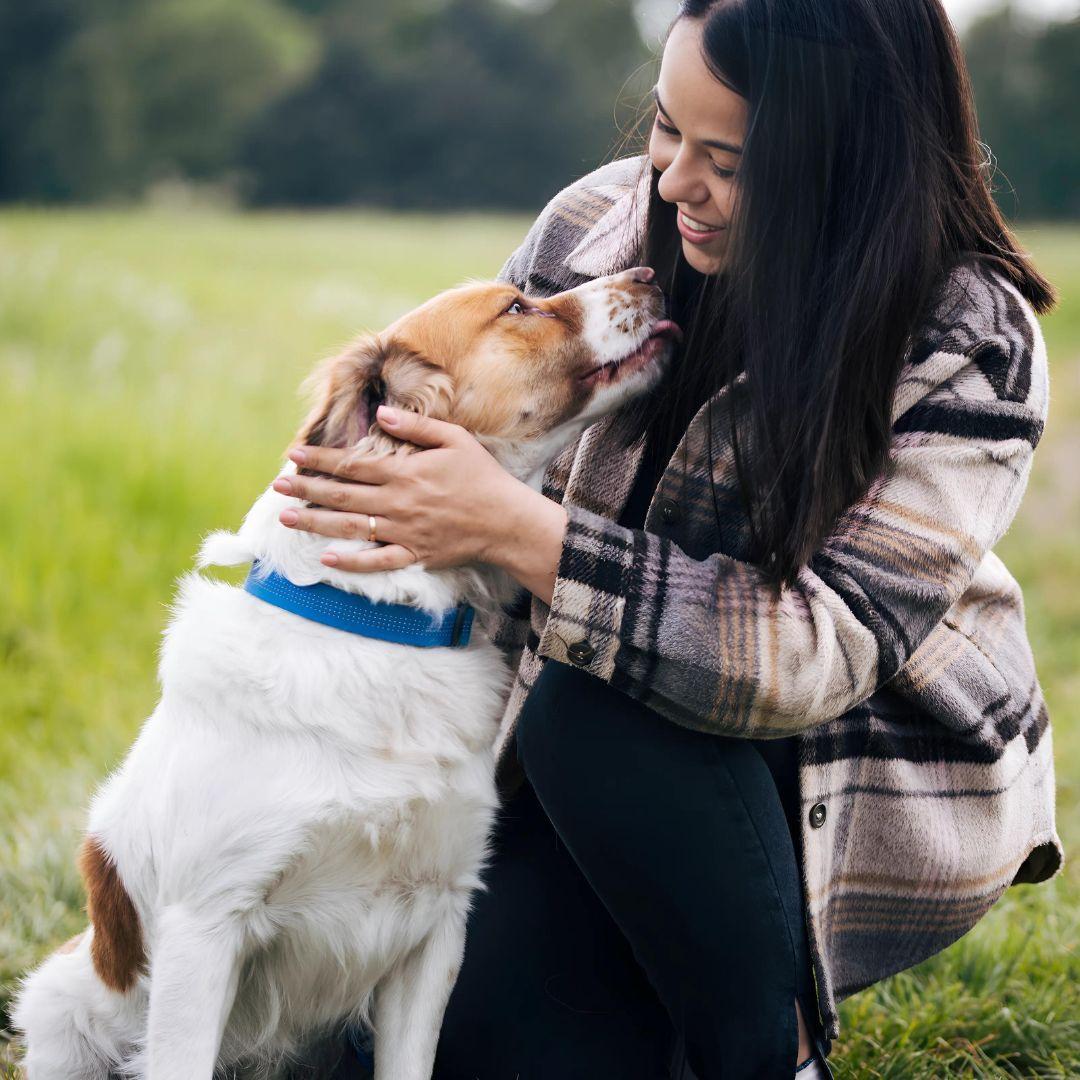 Dog is treated with kindness and love