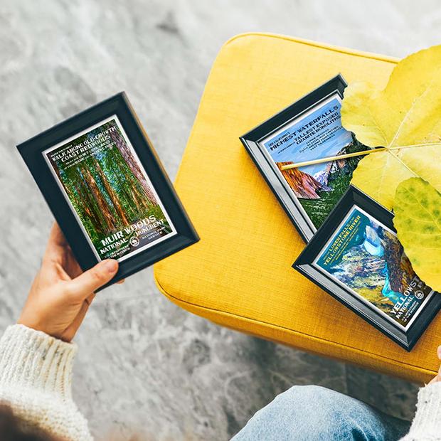 Mystery 10-Pack: National Park Postcards (Random Mix!)