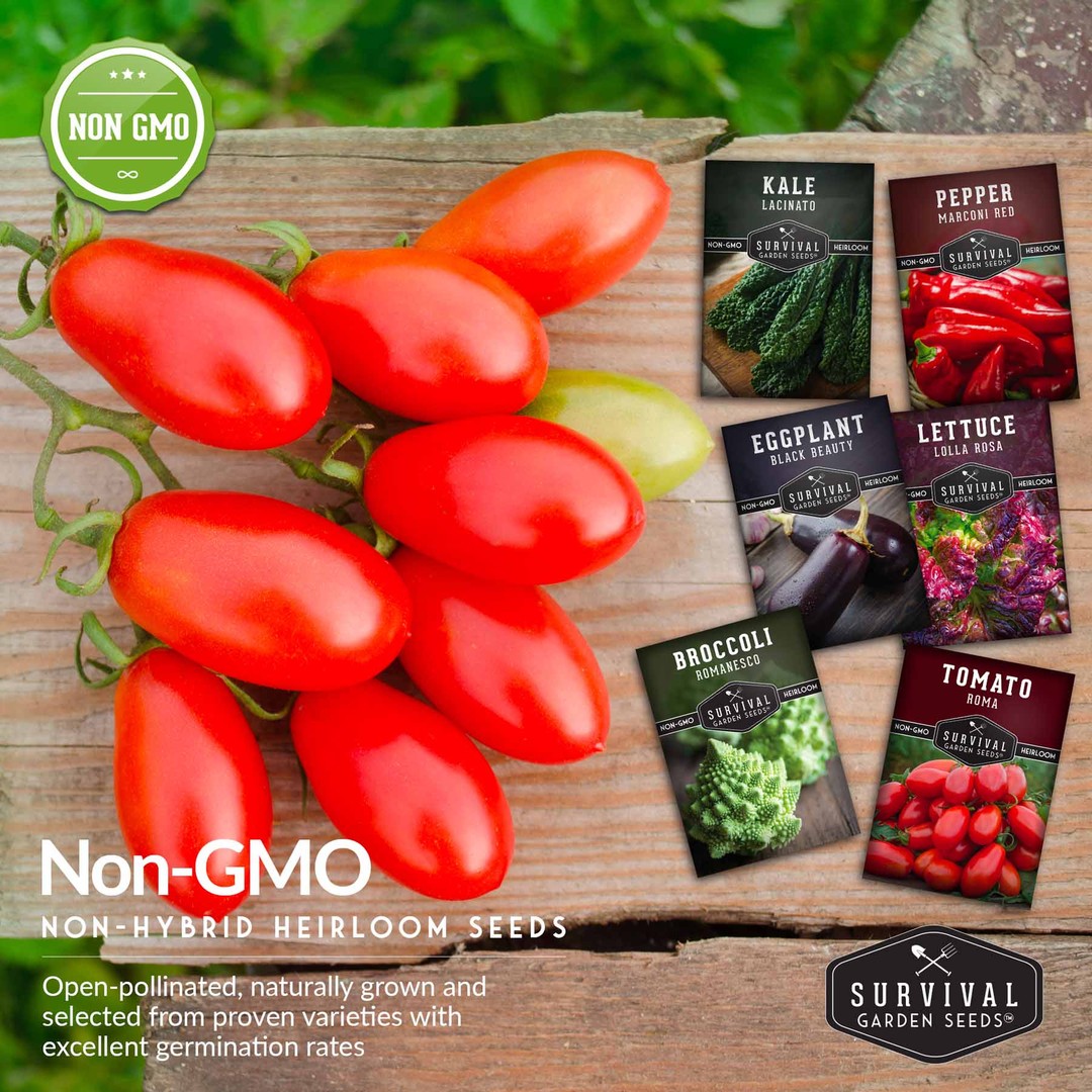 Non-gmo non-hybrid heirloom vegetable seeds