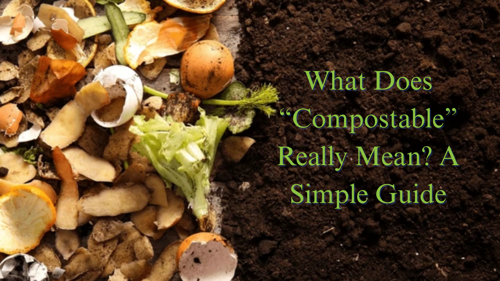 What Does “Compostable” Really Mean? A Simple Guide