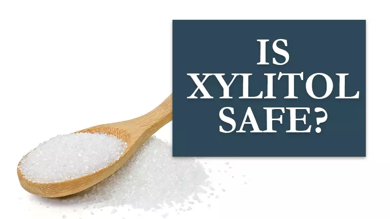 IS-XYLITOL-SAFE-BLOG-HEADER