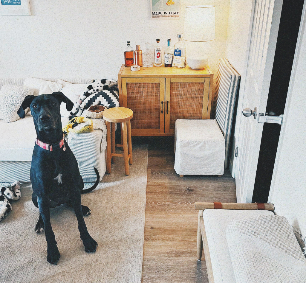 A dog sits in a living room near a partially open door held in place by The Door Buddy door prop. The adjustable prop creates a small opening that allows cats to move freely between rooms while helping keep dogs out.