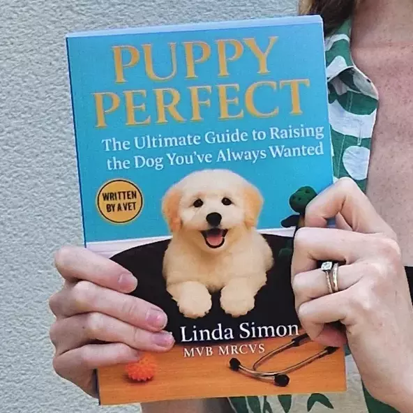 A woman and a dog wearing striped t-shirts