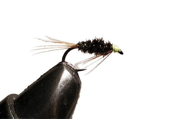 8 Gold Head Short Shank Green Montana Fishing fly Mixed 10/12 Trout Flies