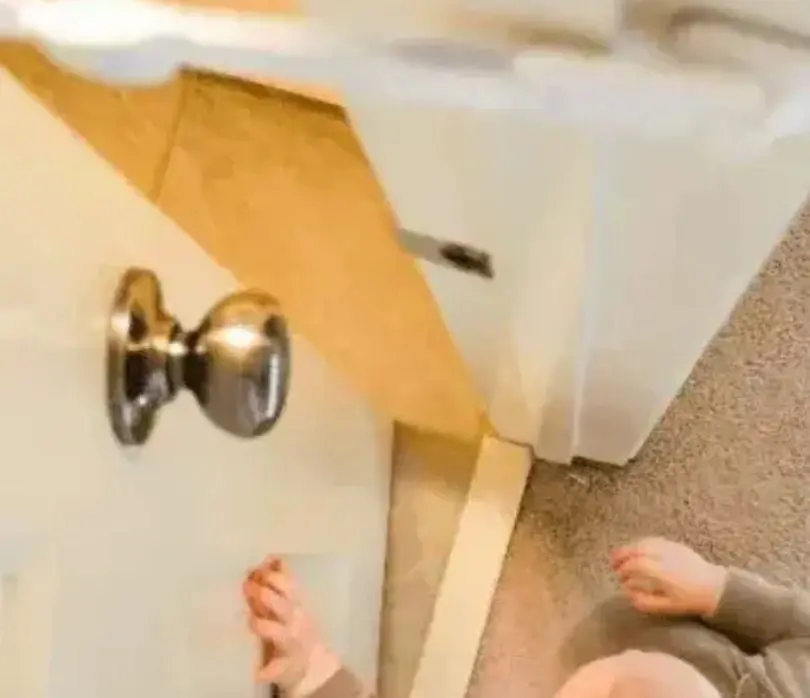 A dog stands beside a large cat litter box , curiously looking into a cat litter box nearby.