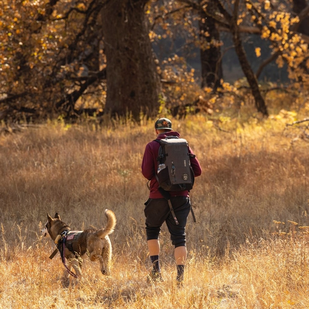 A man hiking with his dog