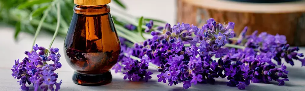 lavender oil