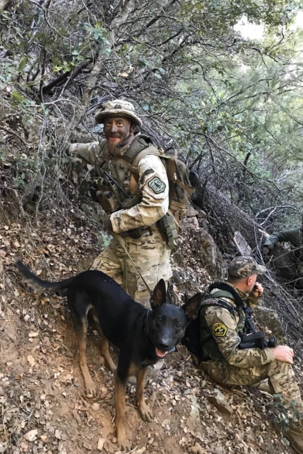 k9 cezar