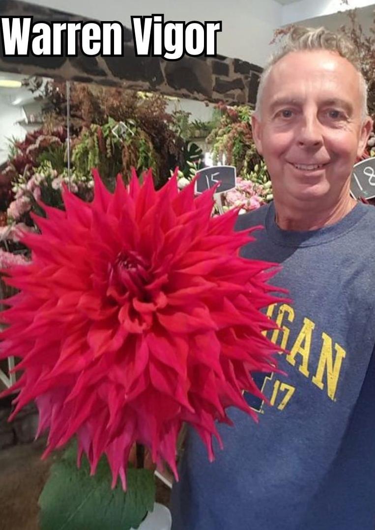 NGI Warren Vigor with Flower