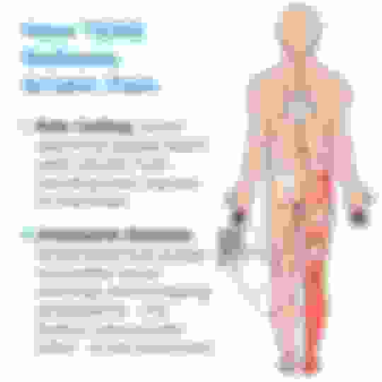 TENS Unit and Sciatica Pain Relief TENS 7000