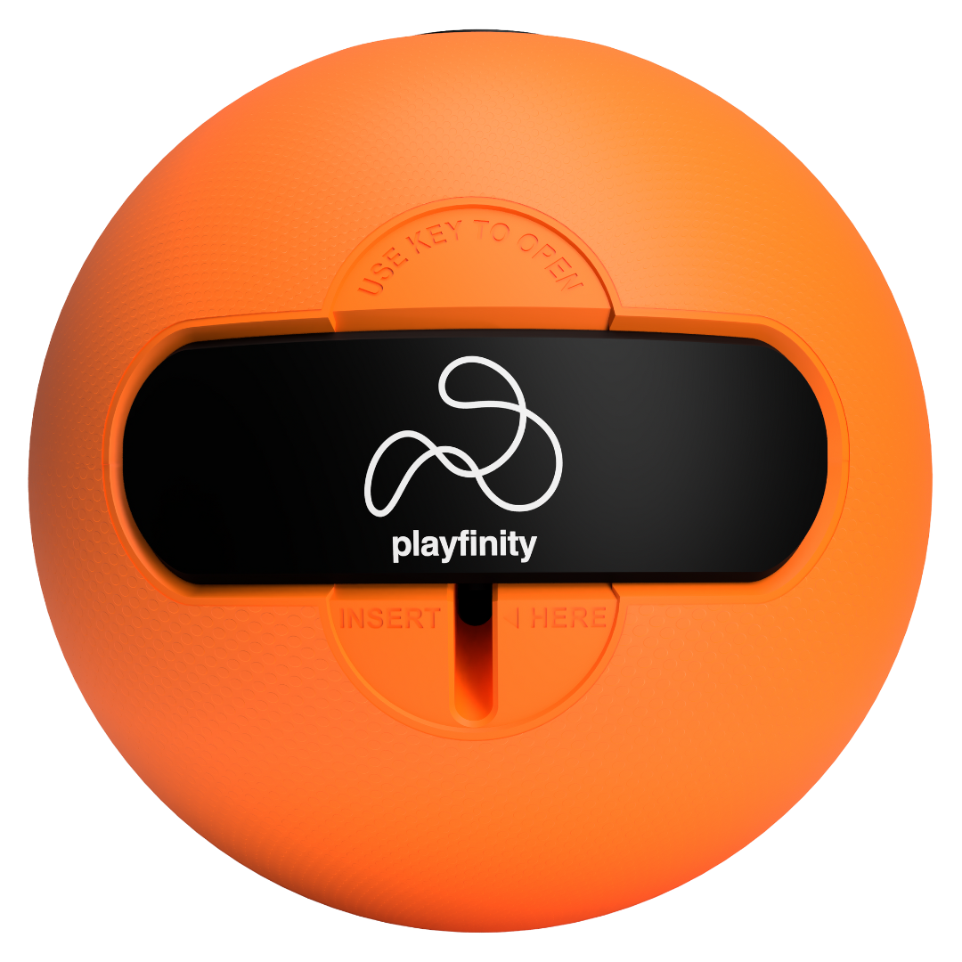 SmartBall Playfinity