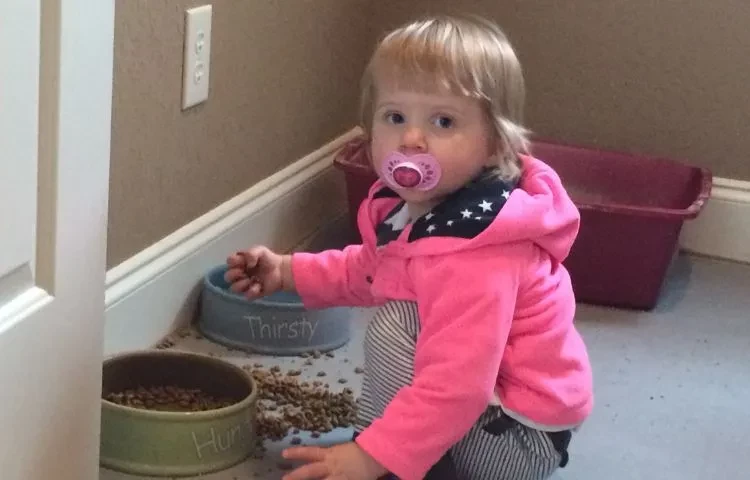 toddler playing in cat litter