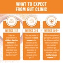 Gut Clinic digestive enzymes support