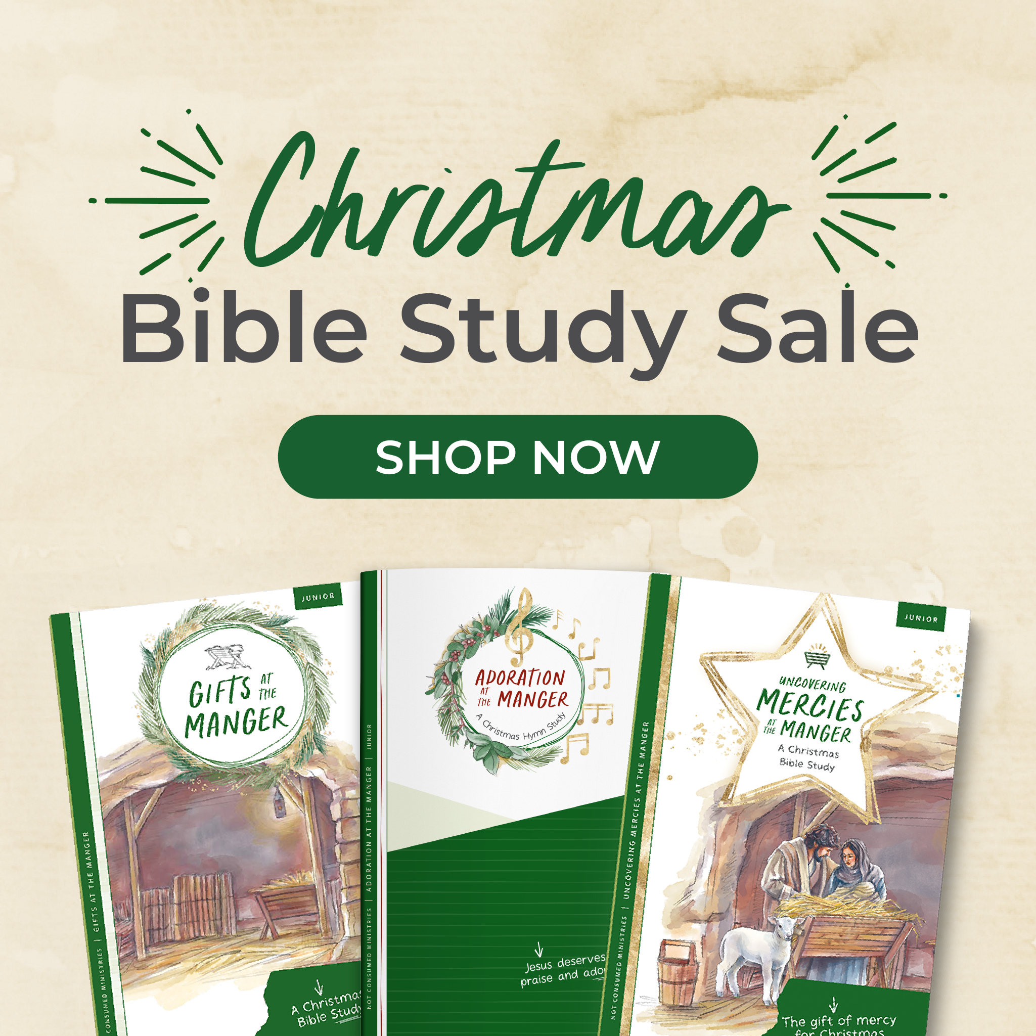 New Christmas Bible study
