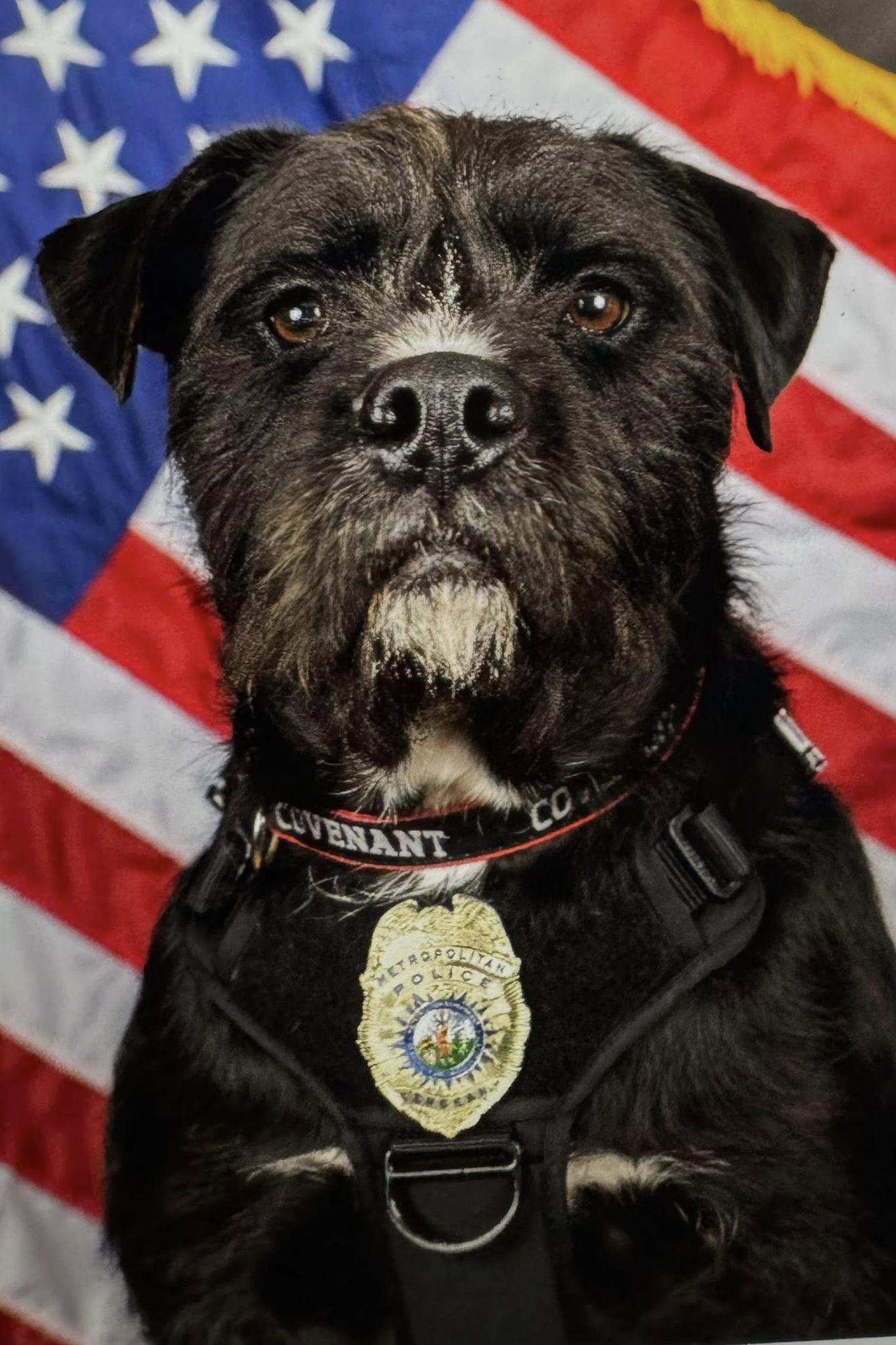 sgt bo in front of the flag with his badge