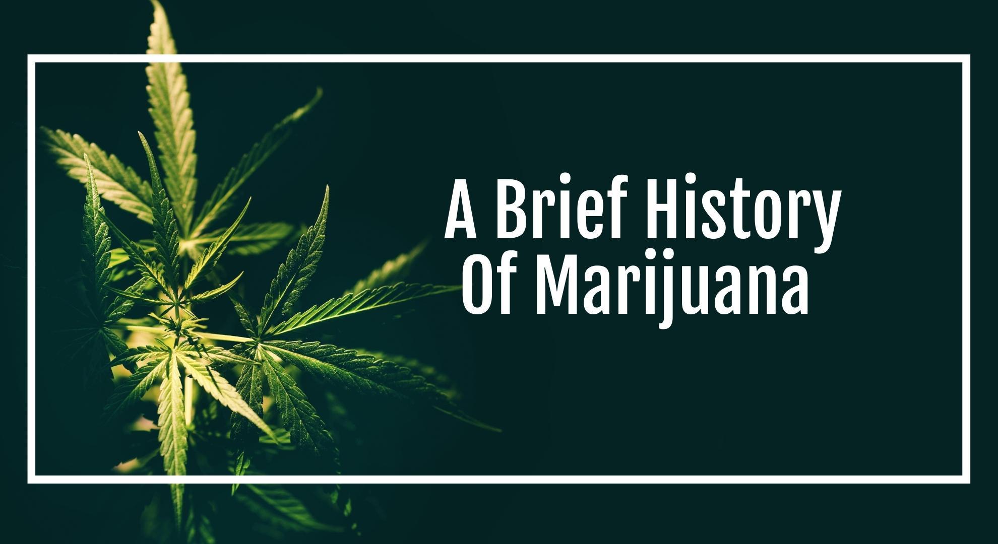 A Brief History Of Marijuana