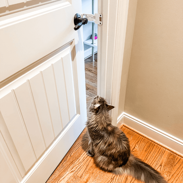 Door Buddy - cat door holder