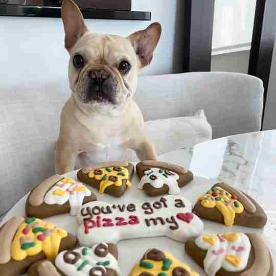 National Pet Day Gifts & How To Celebrate With Your Dog