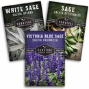 Sage Collection - 3 packets of heirloom sage herb seeds