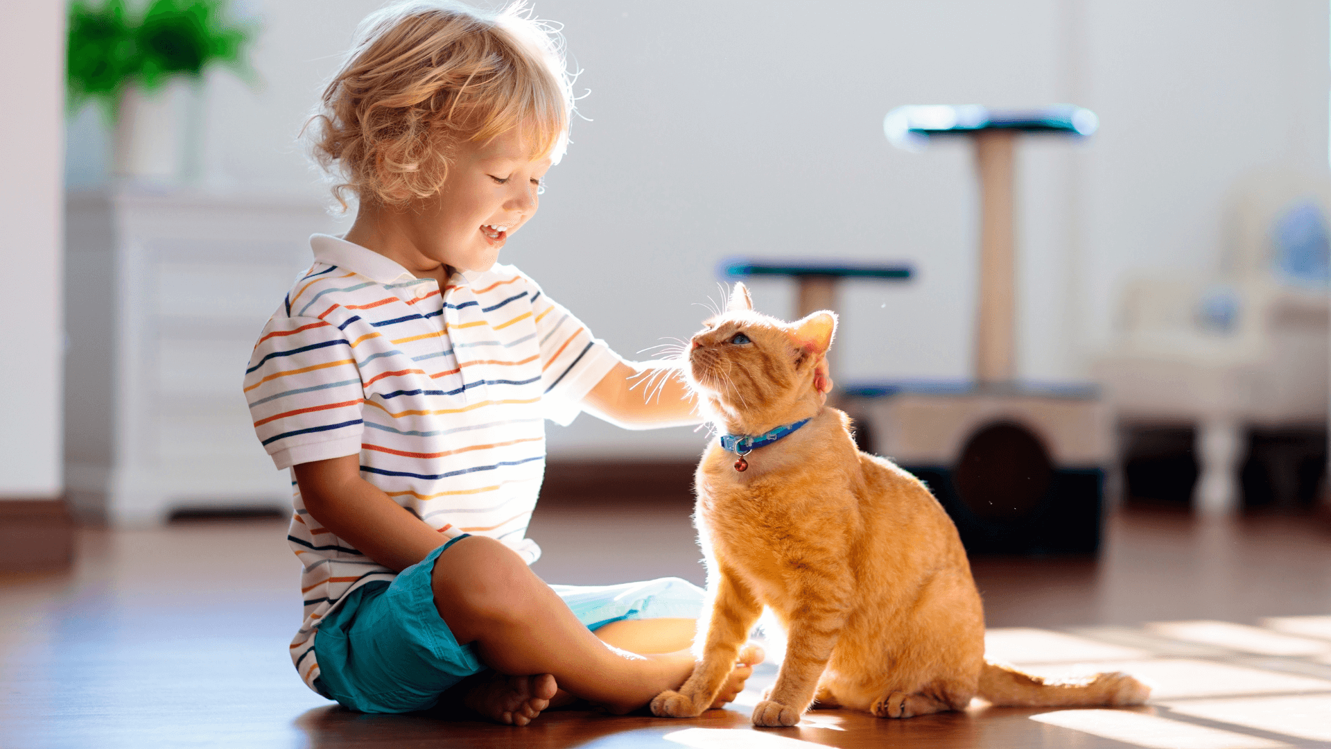 How to Teach your Child to be Kind to Pets – Door Buddy