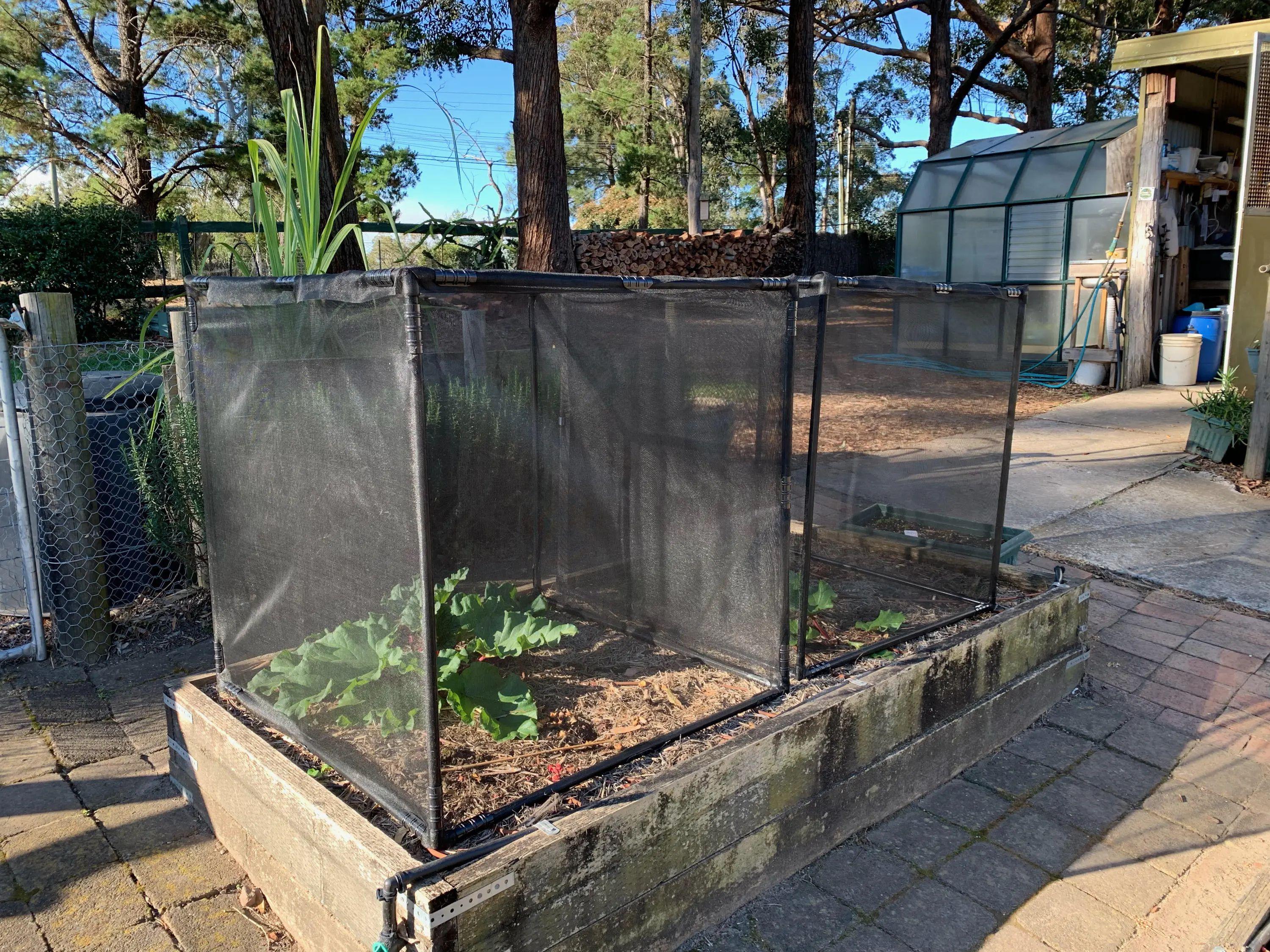 The cover will keep out insects and the mesh is fine enough to keep out fruit fly.
