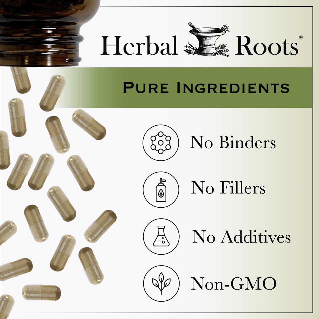 Left side has a bottle of an Herbal Roots bottle with many capsules spilling out. Right side has text that says Herbal Roots, Pure Ingredients. No Binders, No Fillers, No Additives, Non-GMO