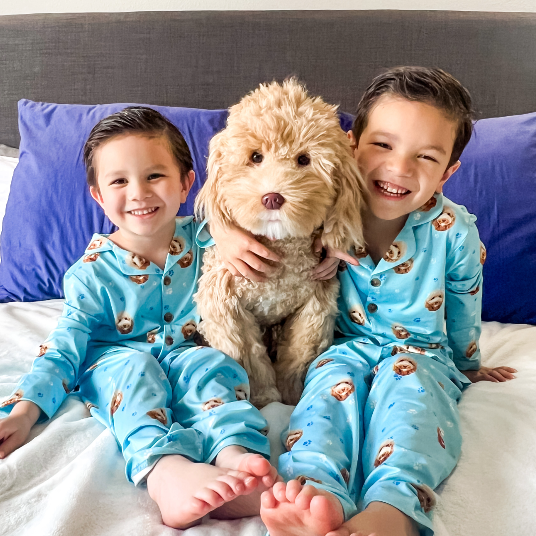 Why Pet Parents Choose Cuddle Clones