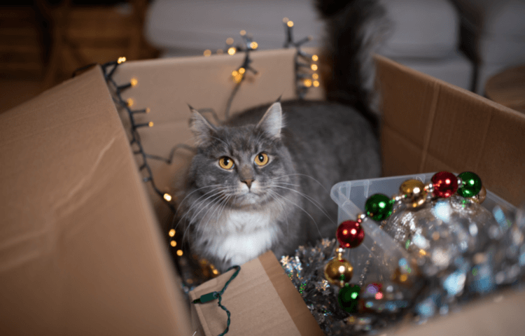 Cat Proof Christmas Tree