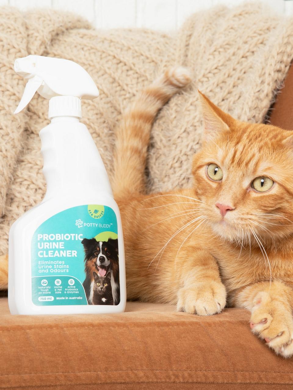 Cat on the sofa with Potty Buddy Urine Cleaner