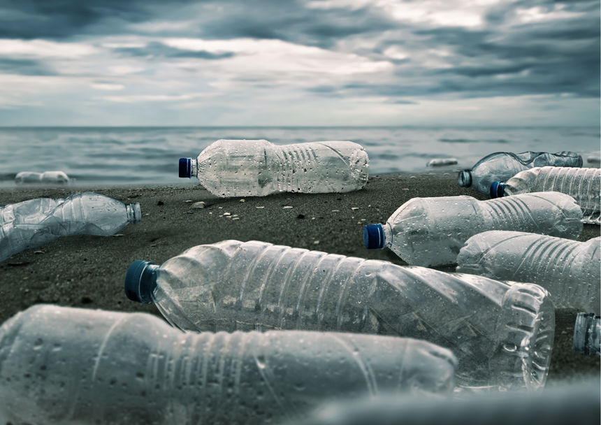 Blog What Happens When You Stop Using Bottled Water