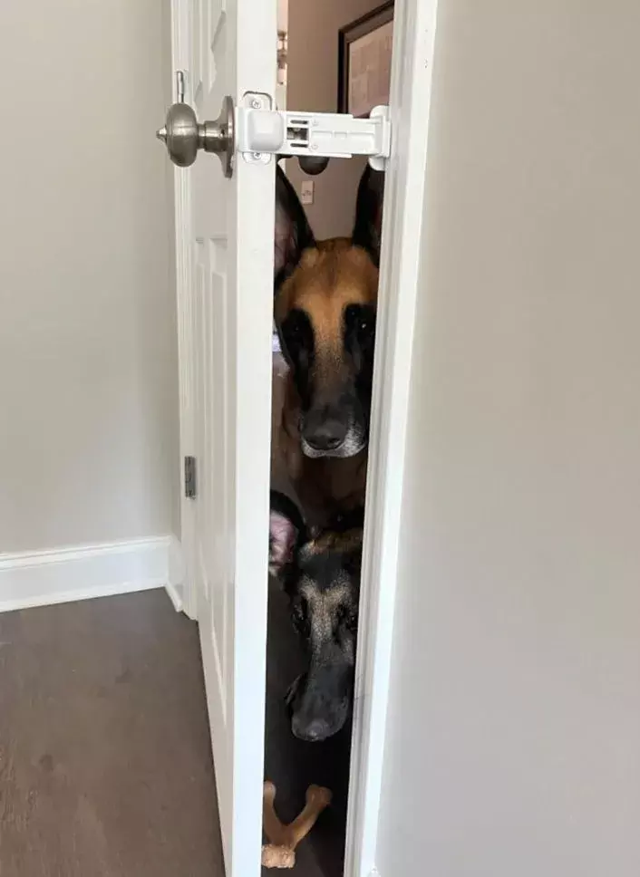 door buddy