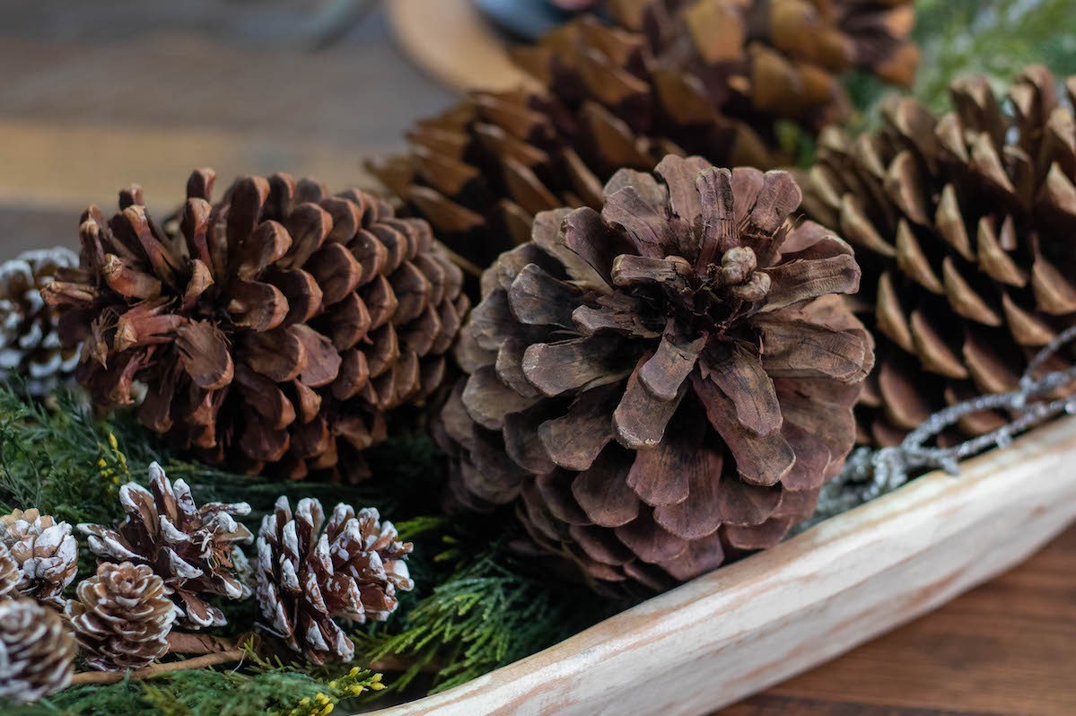 winter centerpiece pine cones