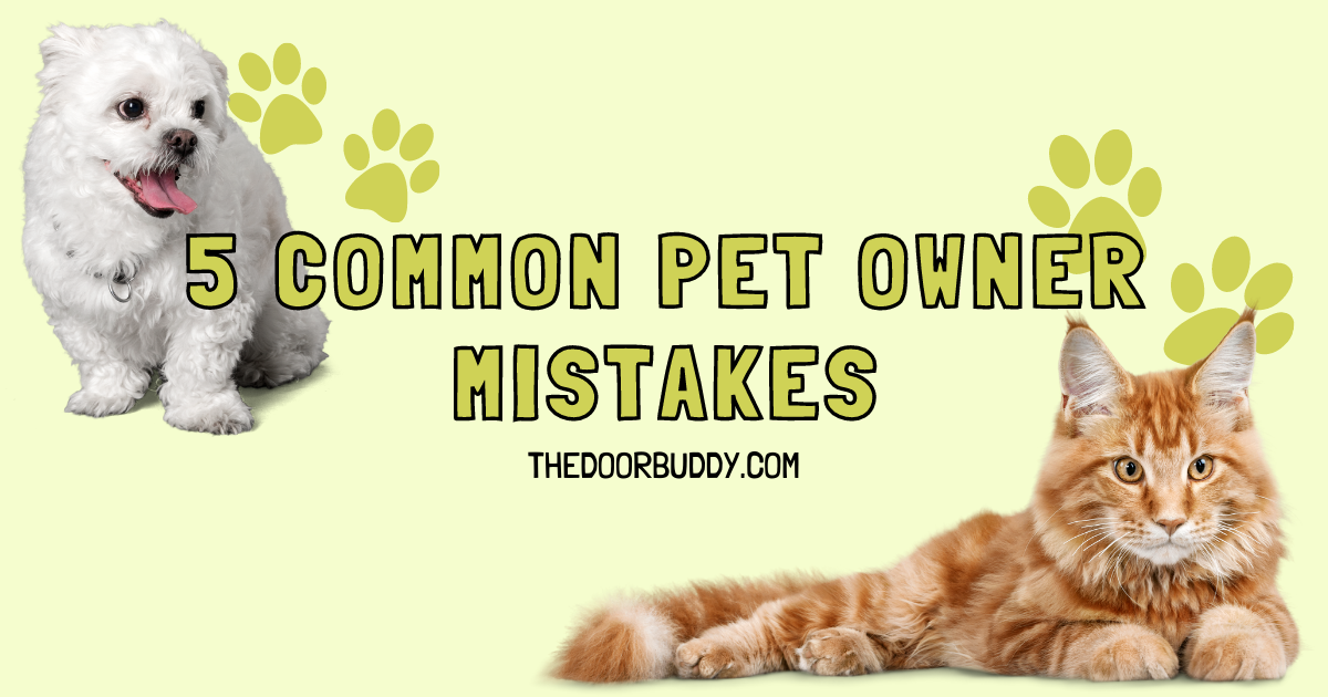 5 Common Pet Owner Mistakes Door Buddy