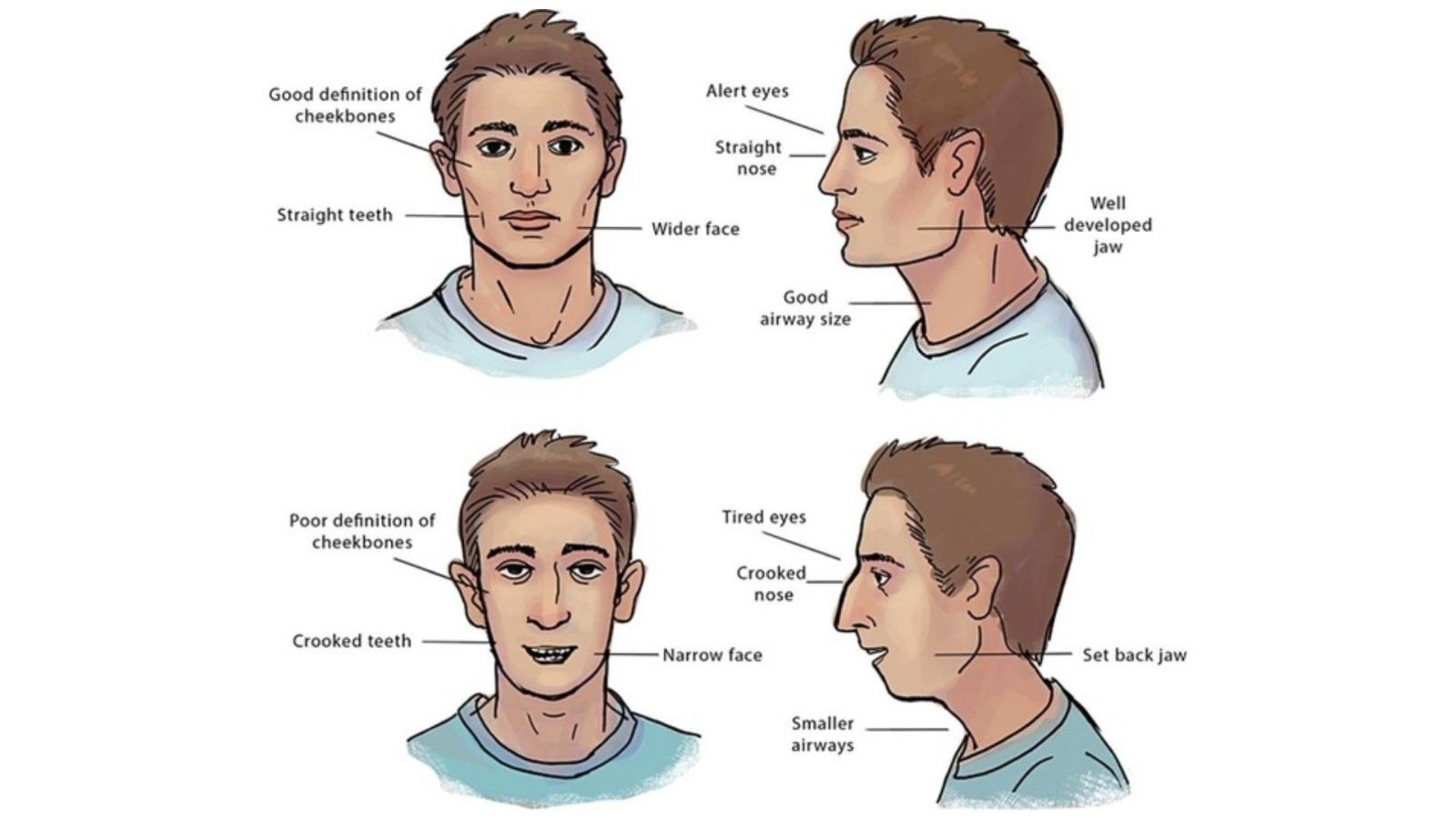 tutoriel de miaulement