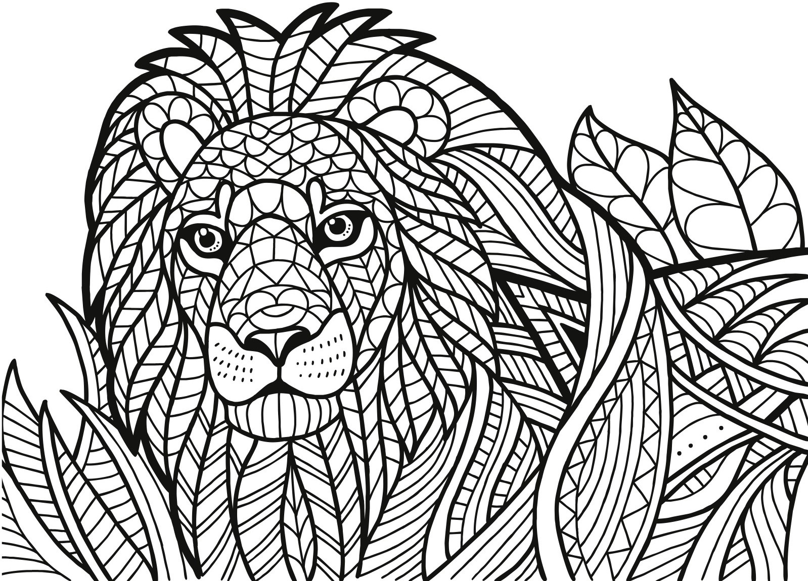 Freebie Friday 20 20 20 Wild Animals Coloring Page