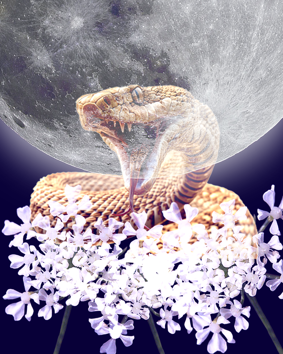 Hemlock Snake Energy