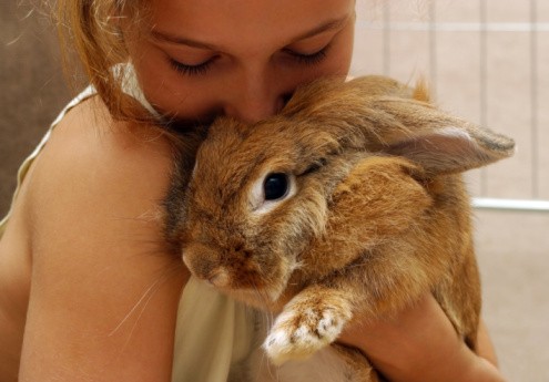 girl holding a rabbit