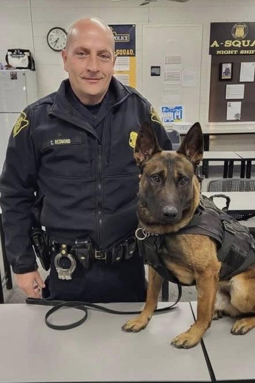 k9 yce 385