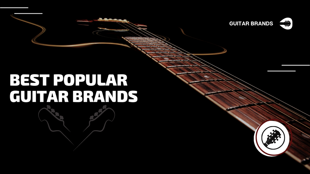 Best Popular Guitar Brands in India