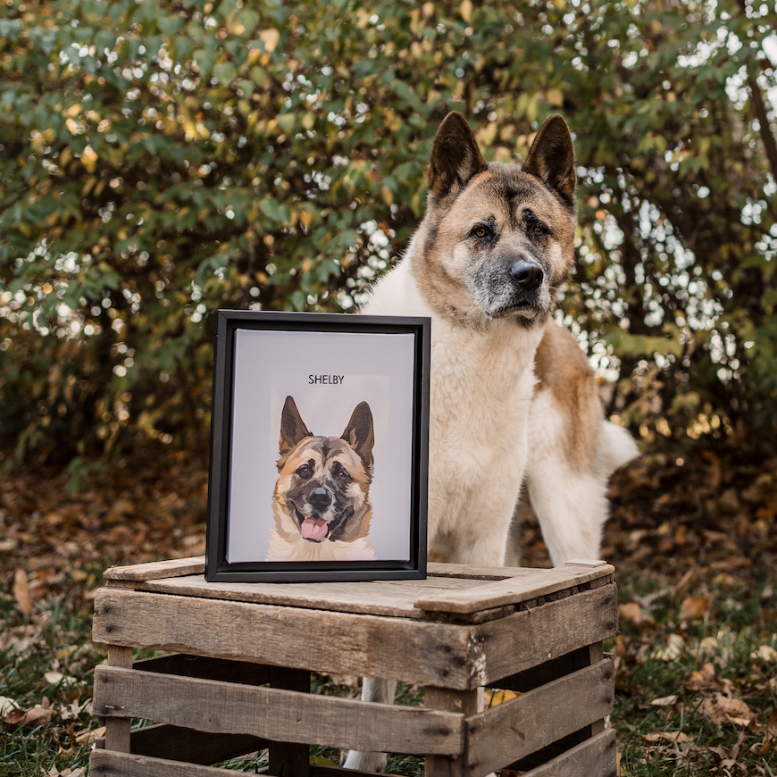 Dog Portrait on White Background and Black Frame