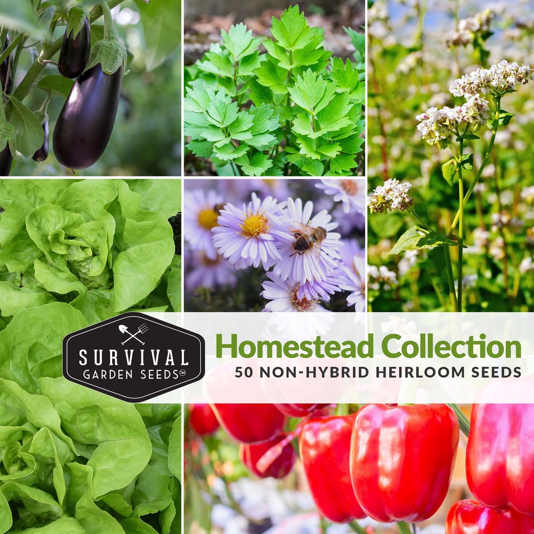 Homestead collection of vegetable, herb and flower seeds