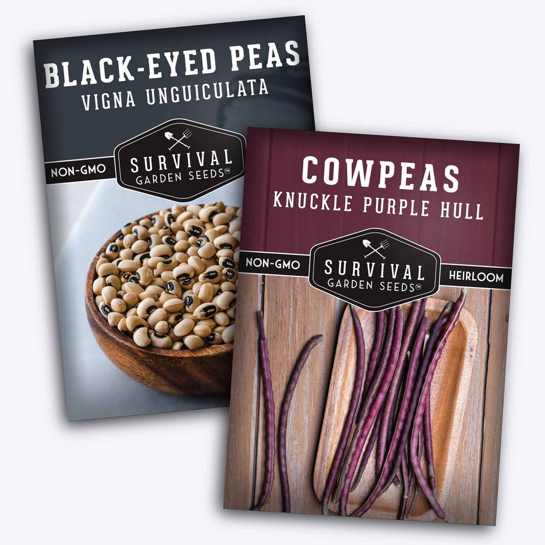 Cow Pea Seed Collection - Knuckle Purple Hull & Black Eyed Peas